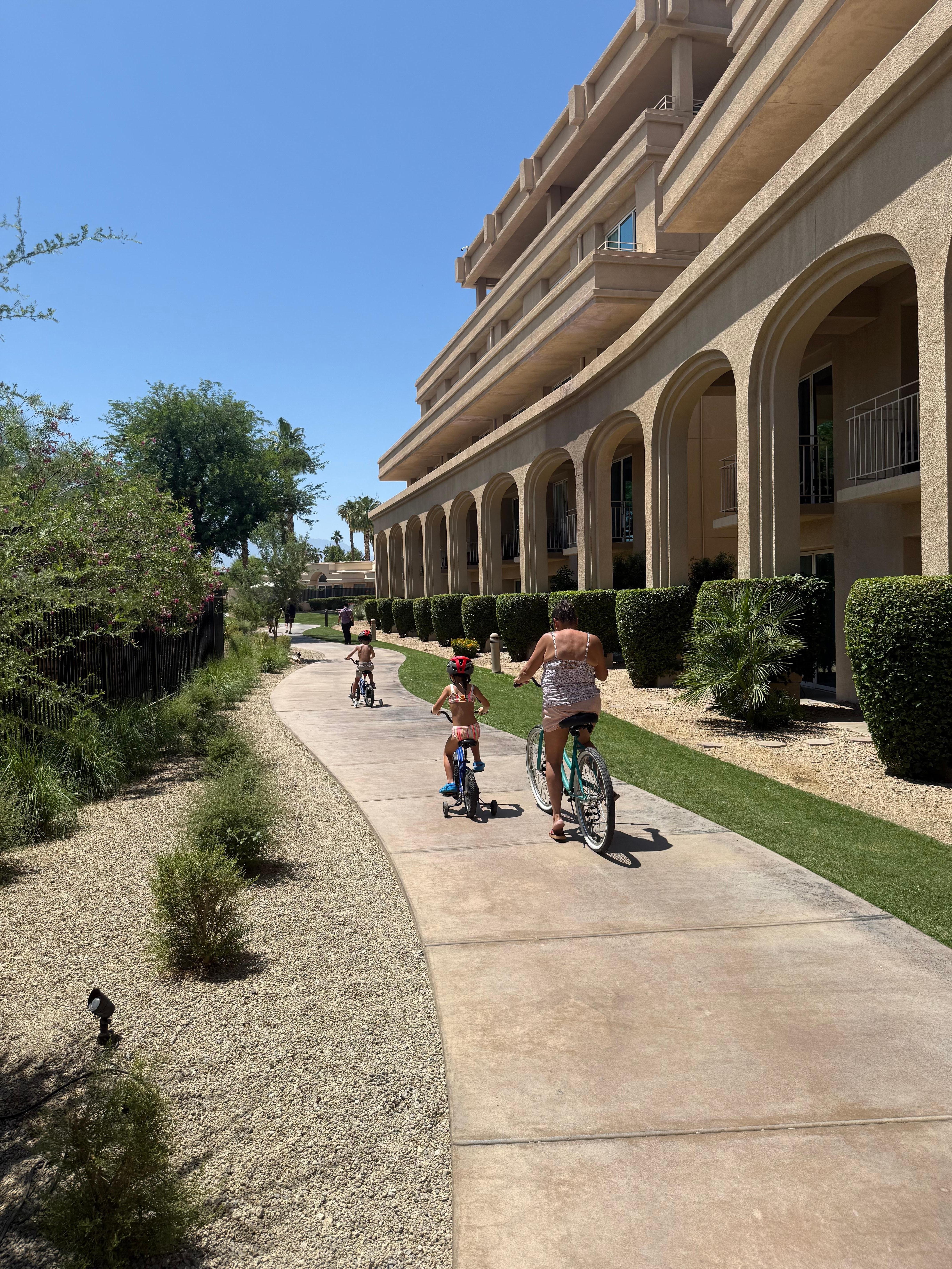 Bike rentals
