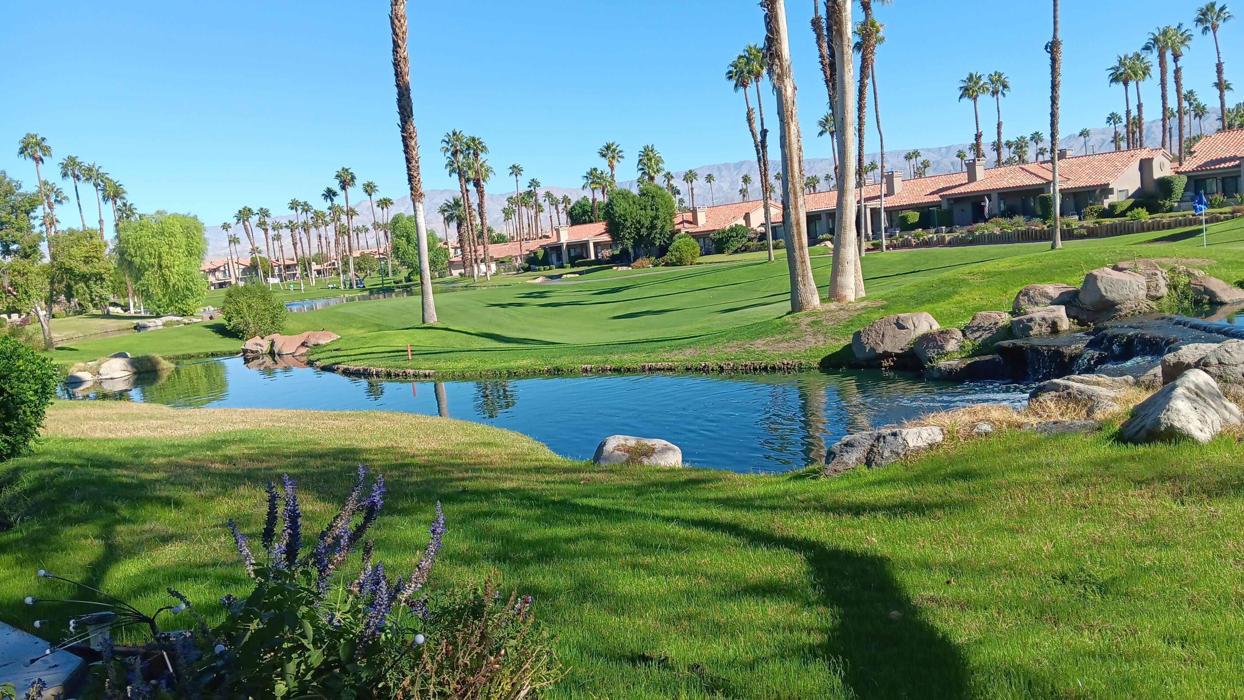 Loved the view from the patio