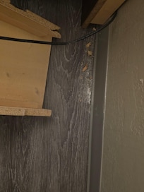 screw from the wall panel