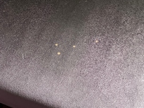 Stains