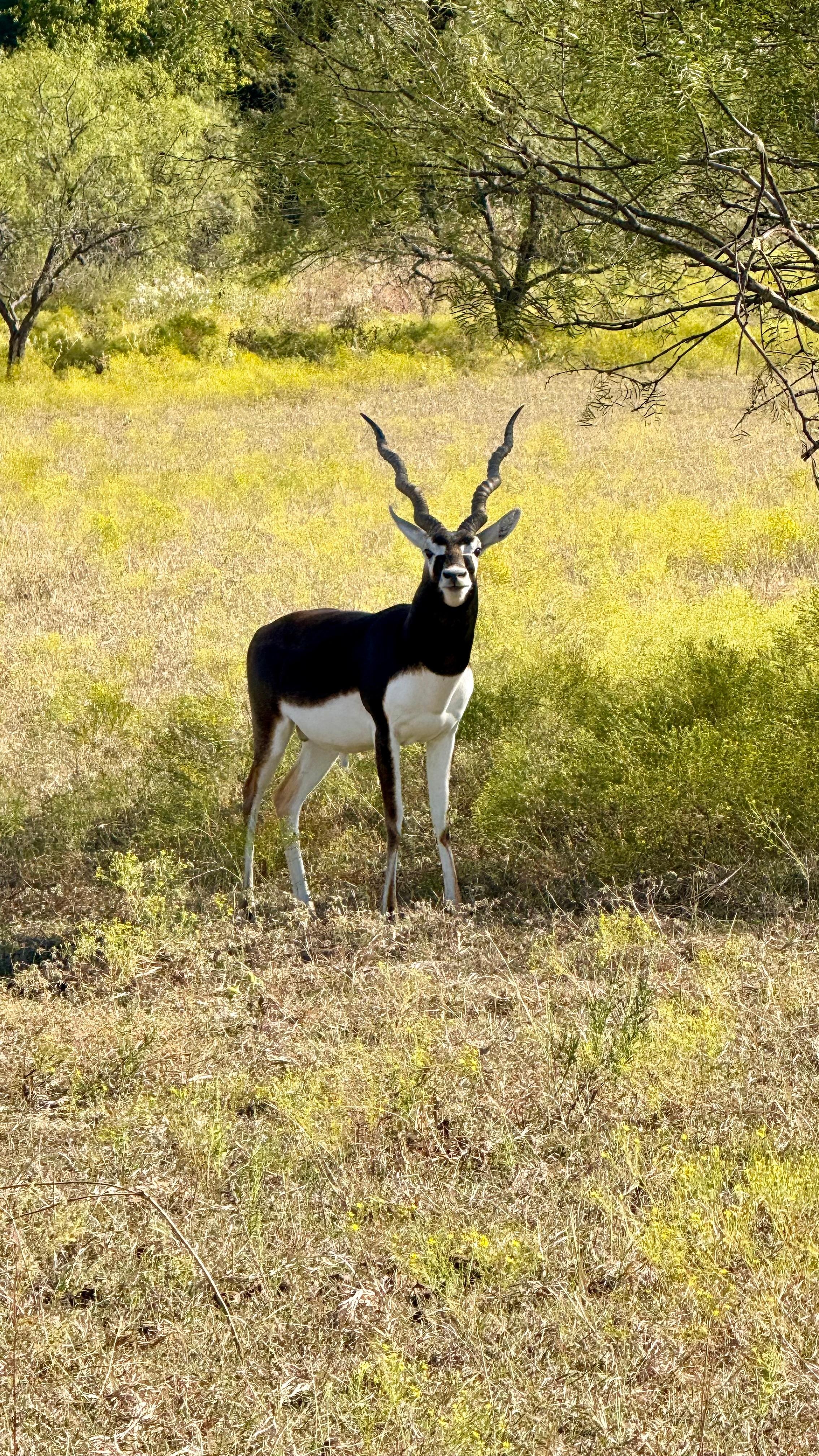 Blue Hills Ranch, McGregor. Thx Nolan!!