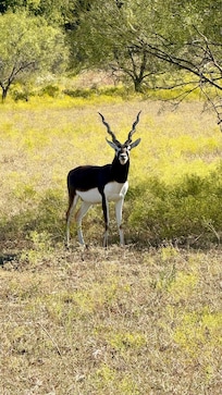 Blue Hills Ranch, McGregor. Thx Nolan!!