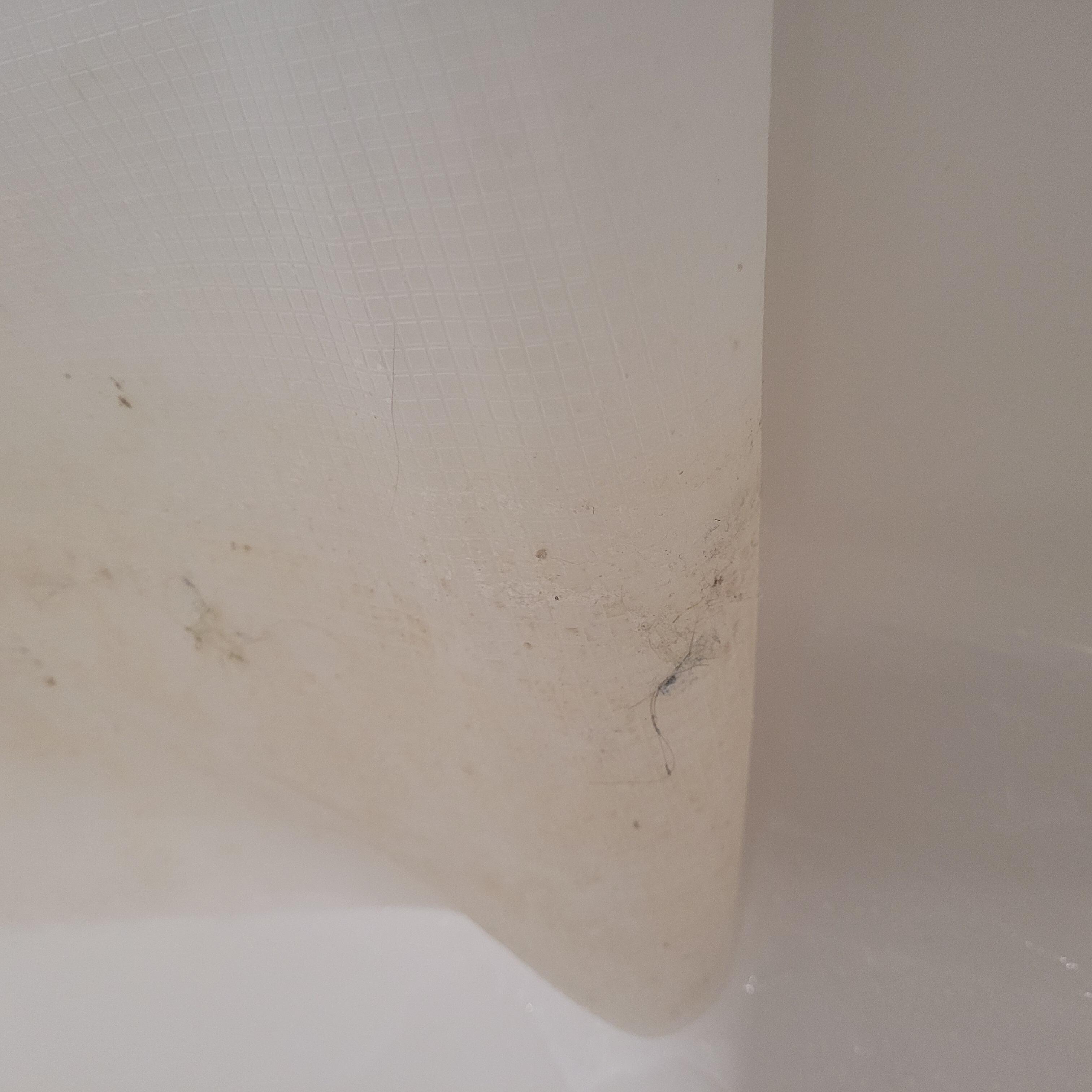 Part of the shower curtain