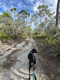 Beautiful path off of the main road