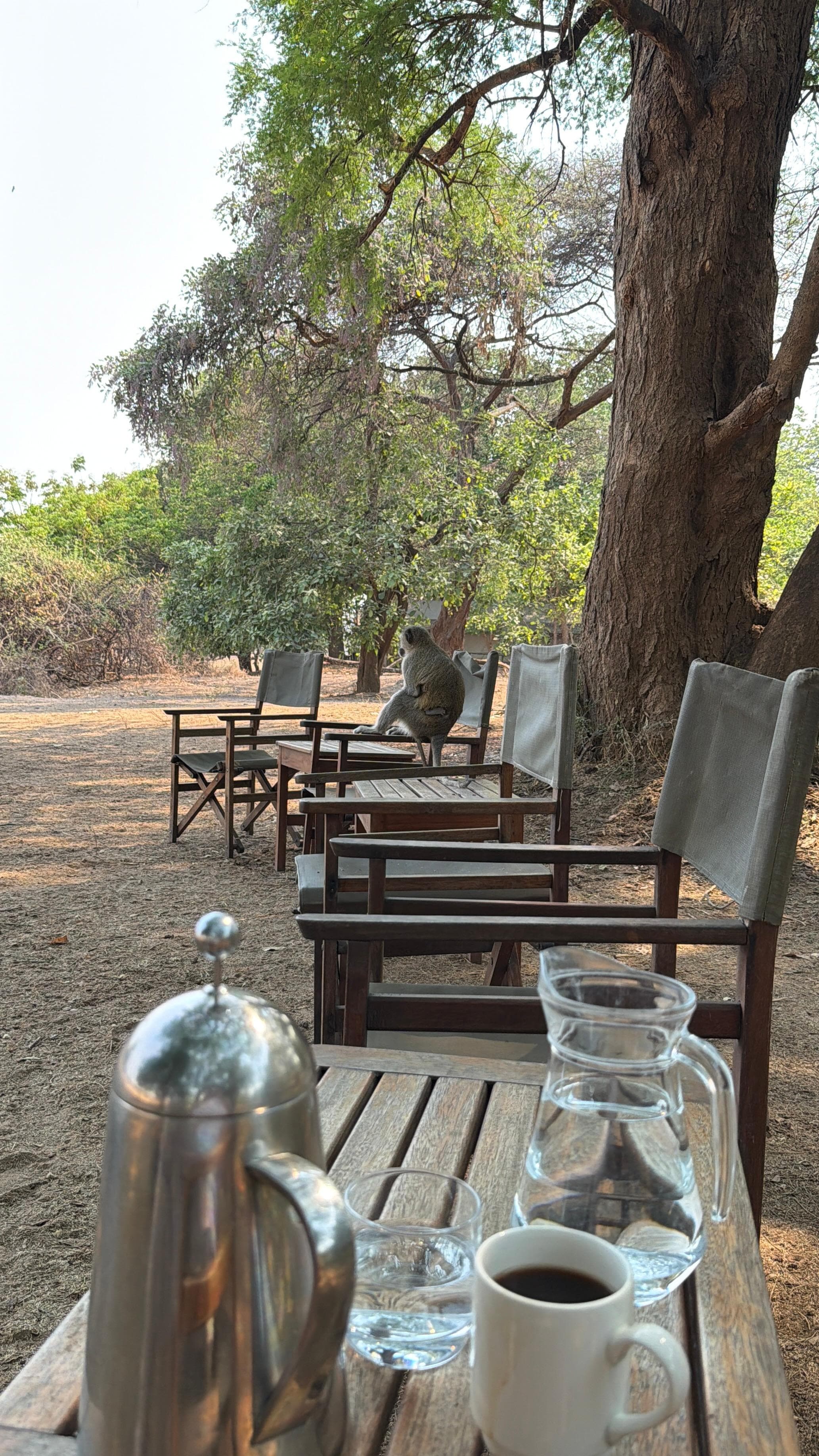 Wildlife viewing area next to the river