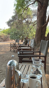 Wildlife viewing area next to the river