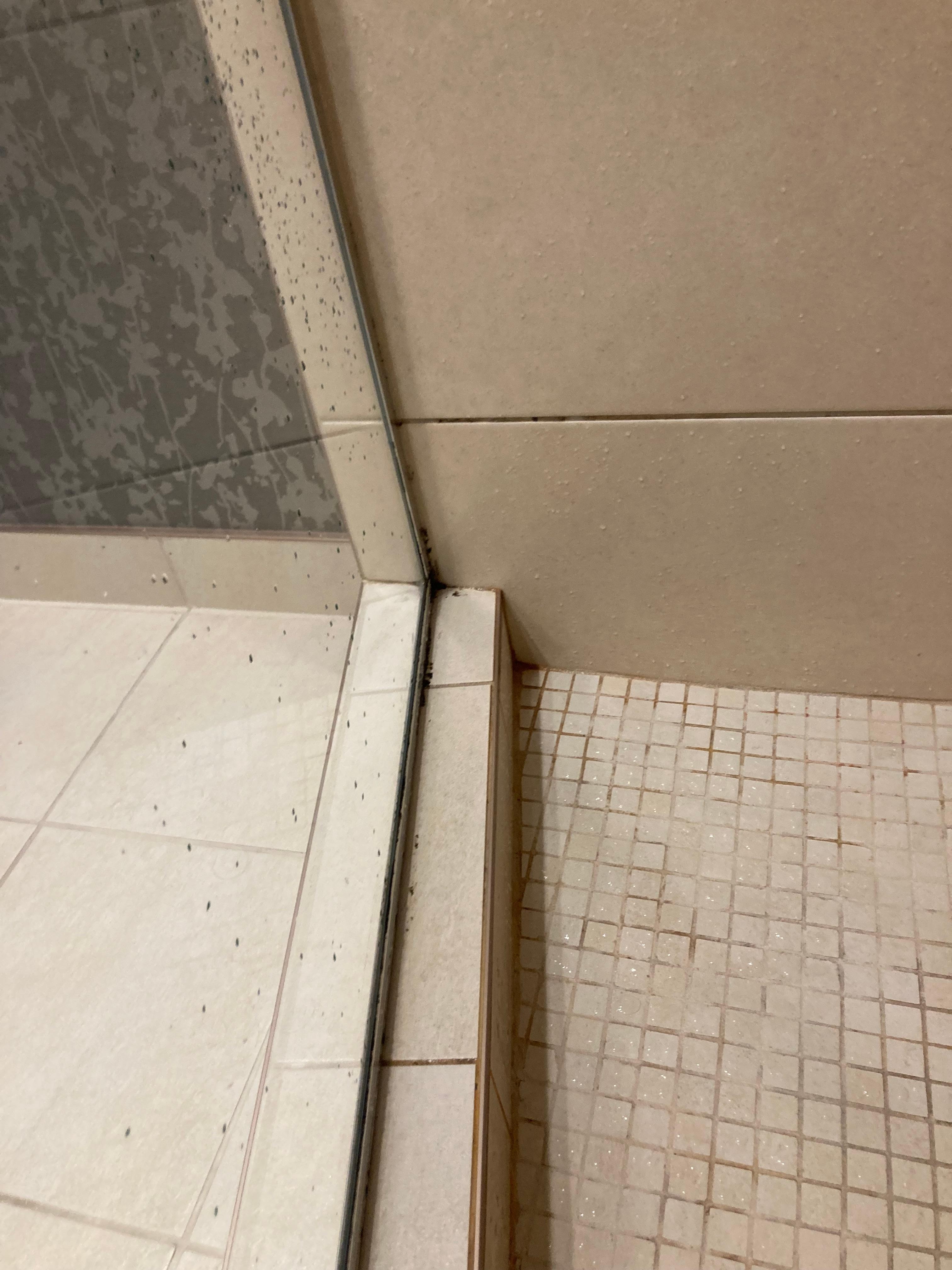 More mold