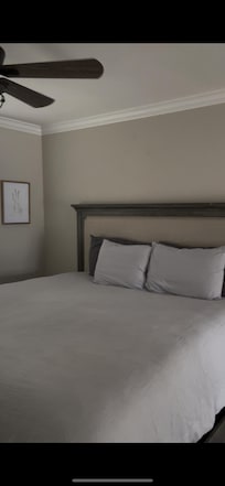 Main room bed