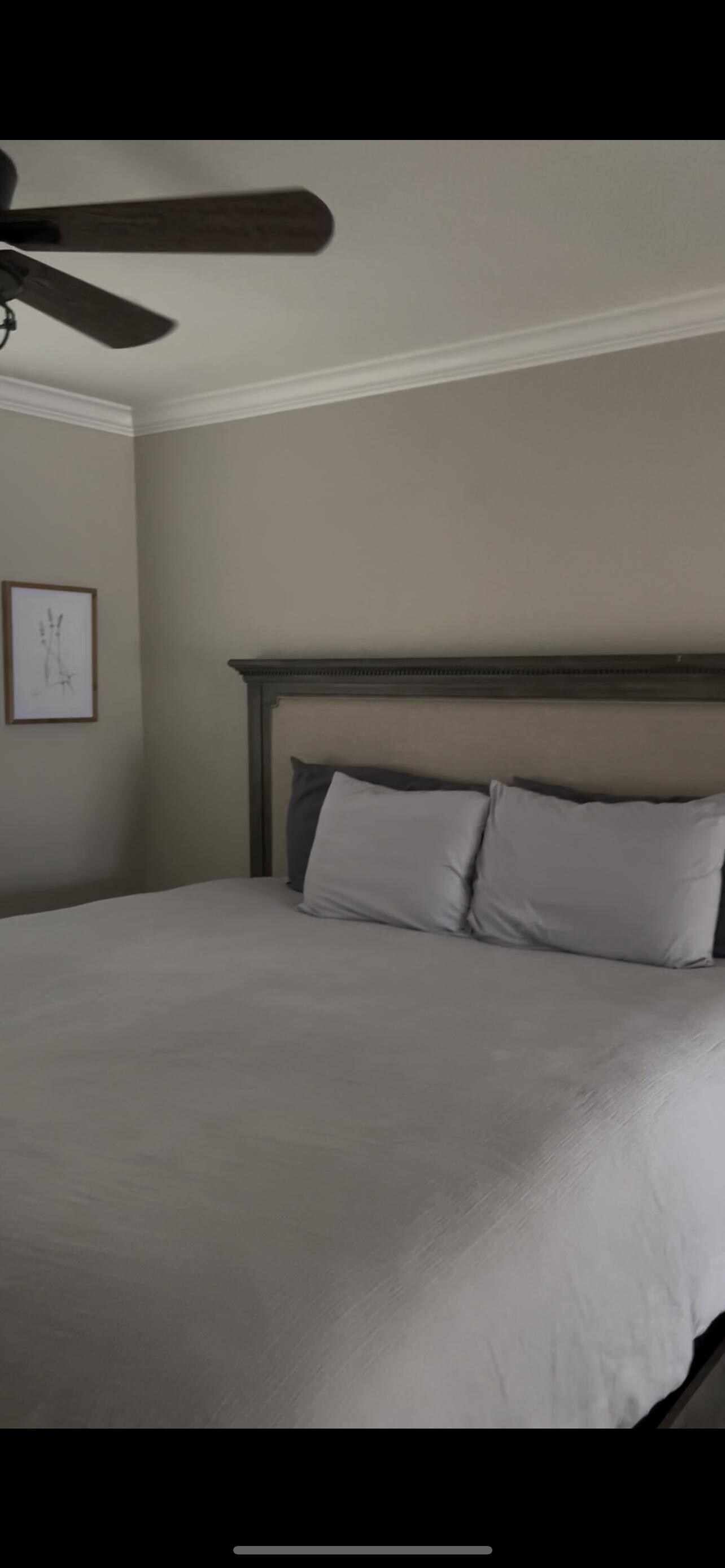 Main room bed