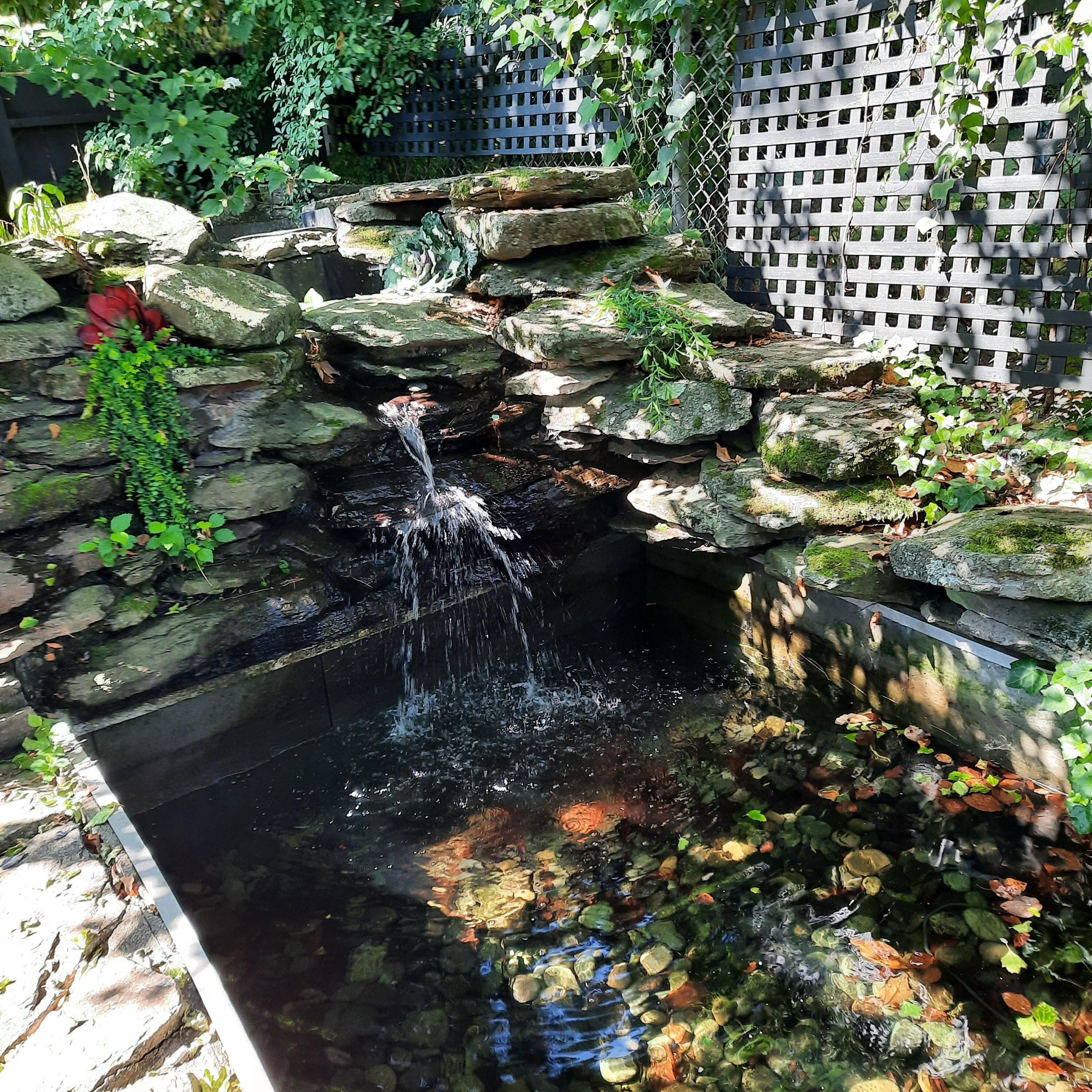 Patio waterfall.