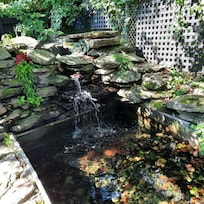 Patio waterfall.