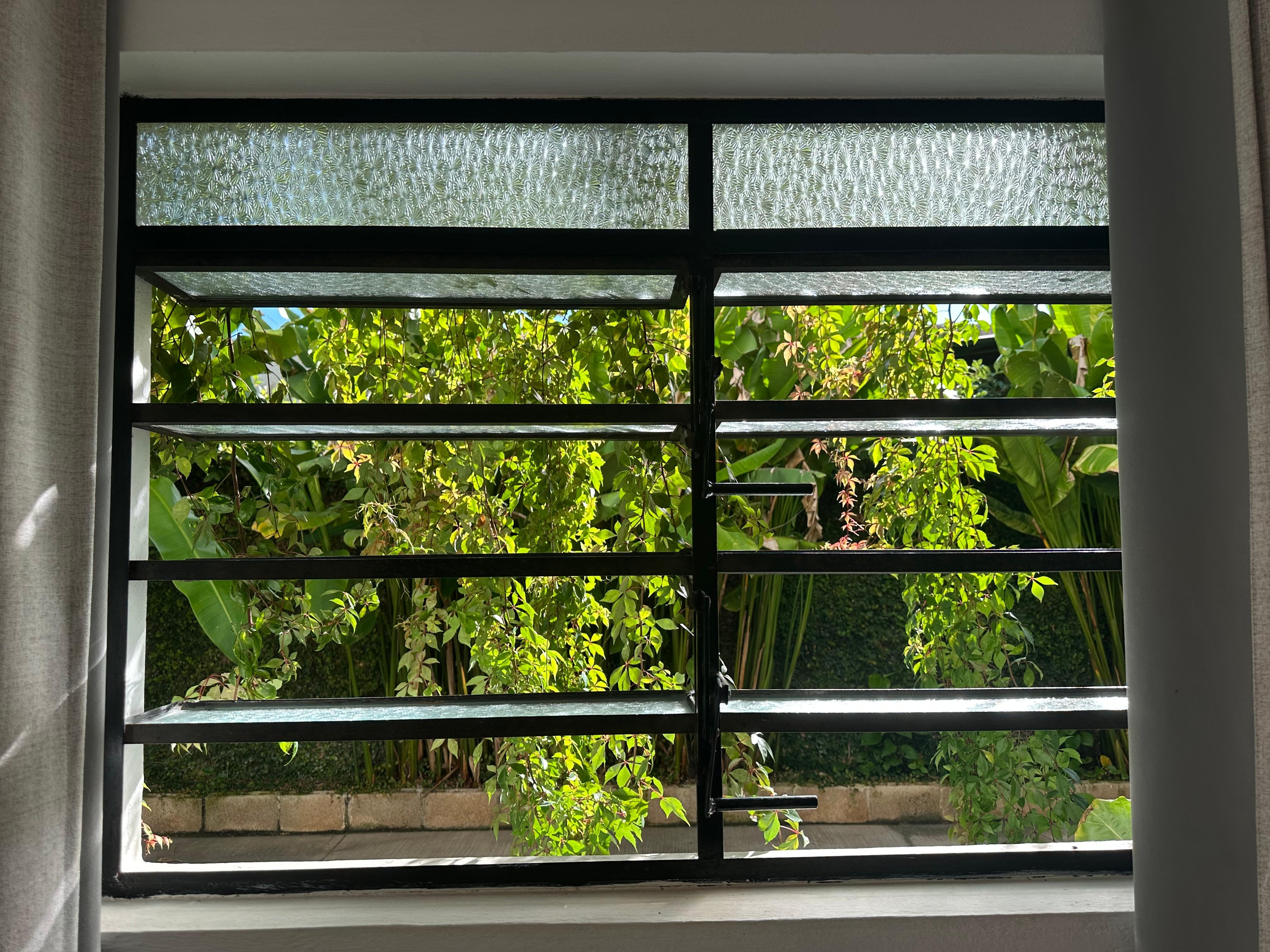 Looking out my window 