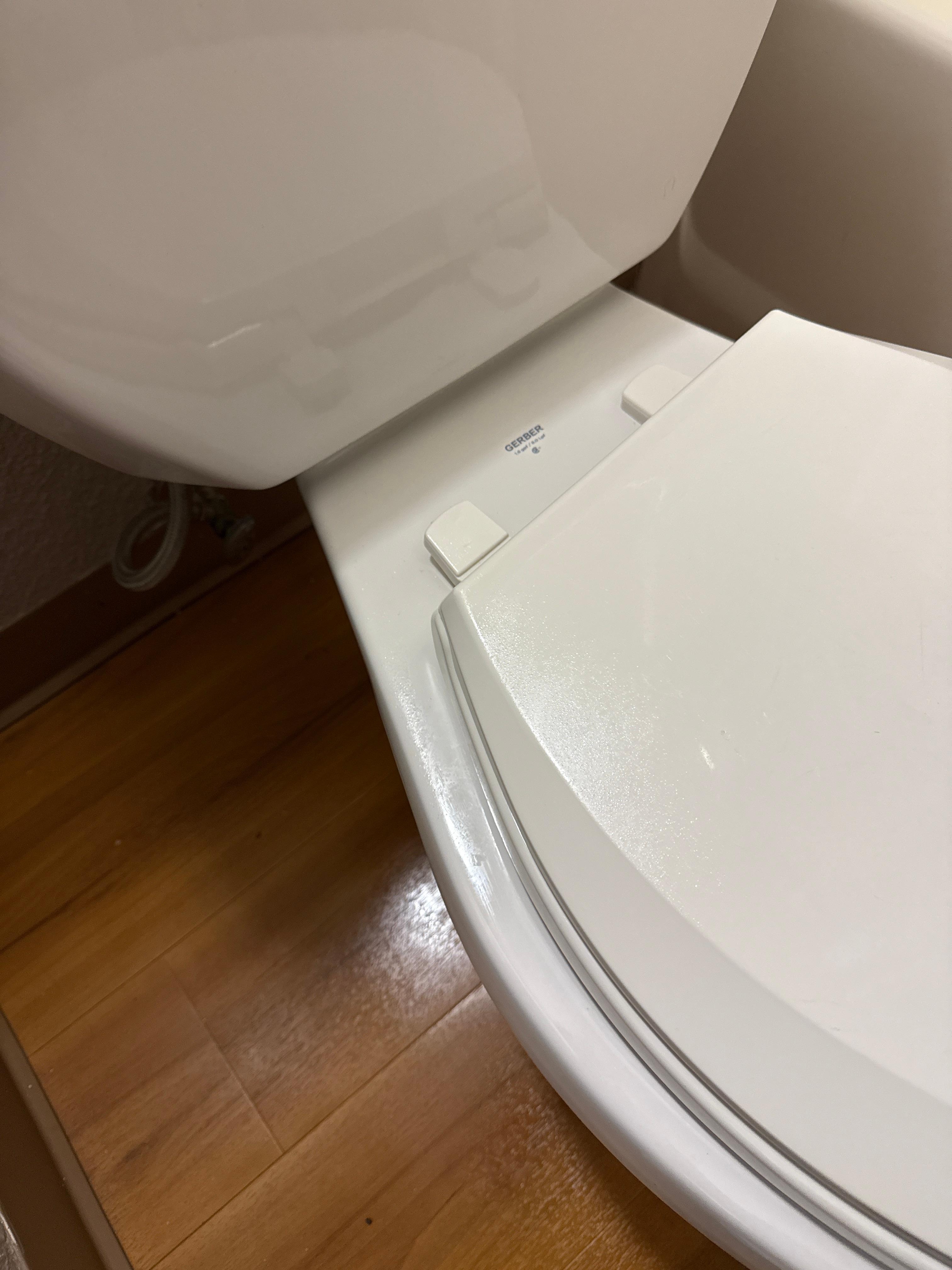 Toilet seat is loose and about fell 