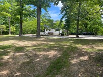 Backyard area - I don't know if this is their property or not, but no one else was there.