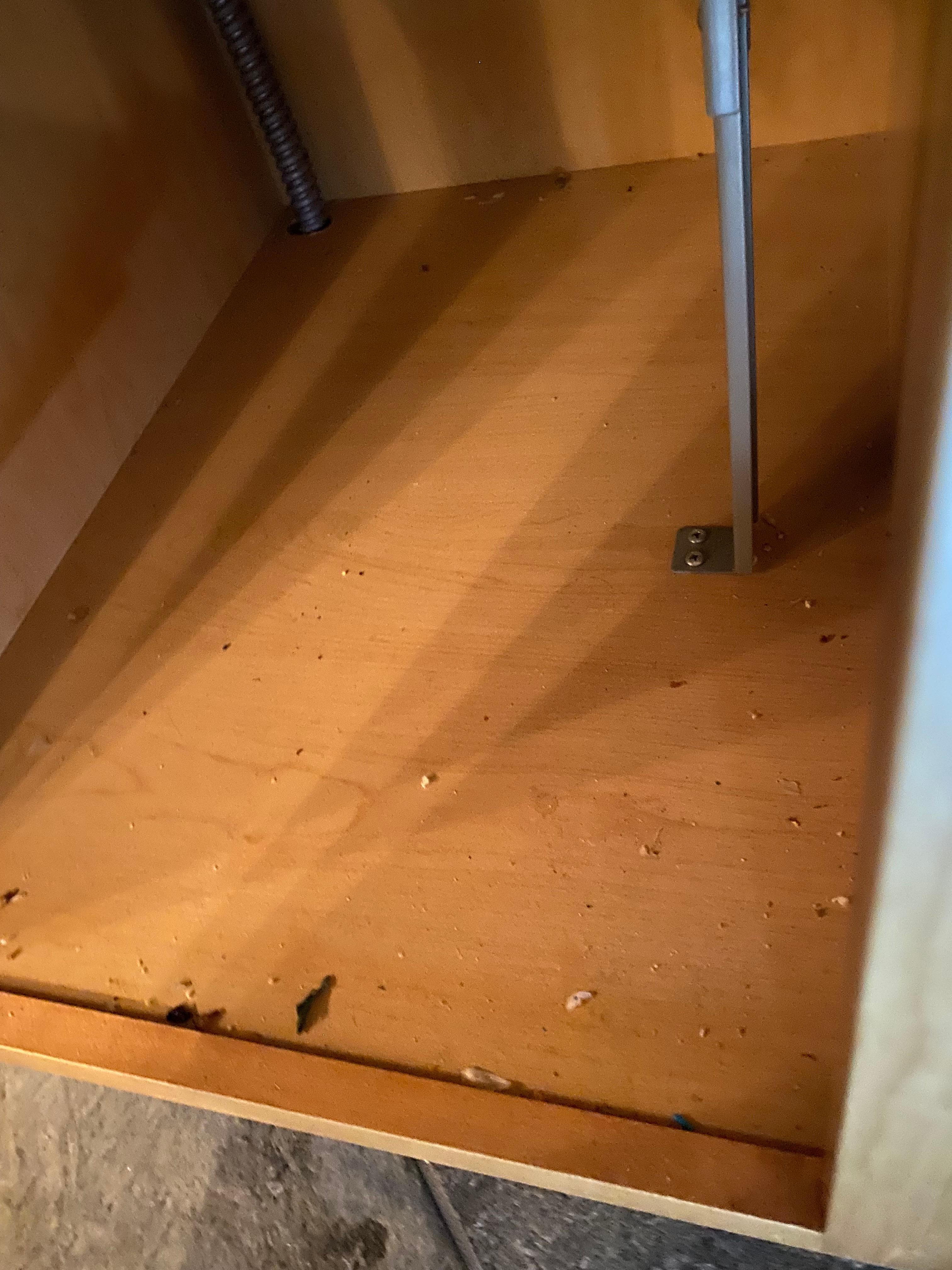 Food bank for like mice.