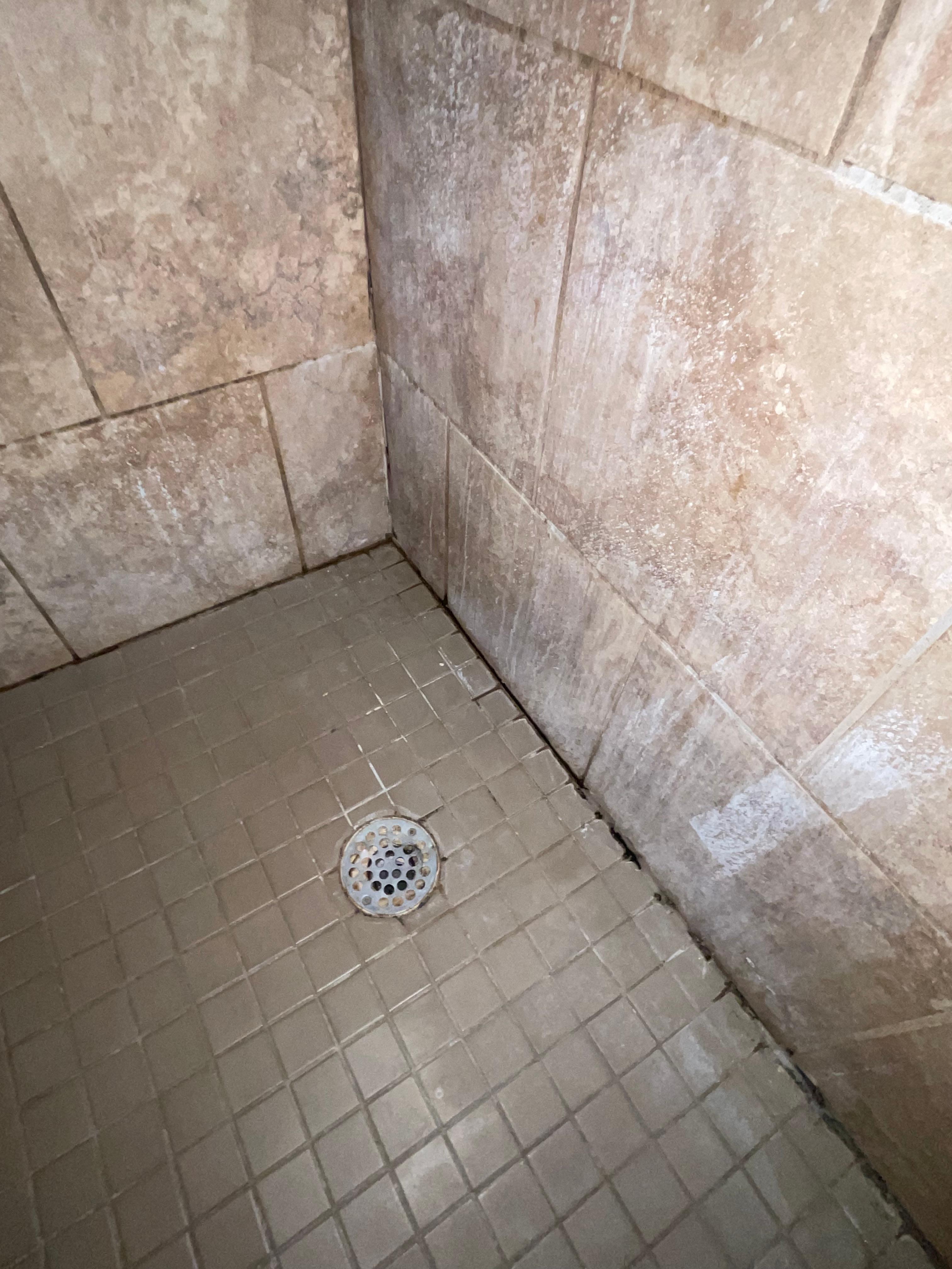 Mold in the shower and this is the second room they sent me to since the first one was disgusting