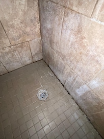 Mold in the shower and this is the second room they sent me to since the first one was disgusting