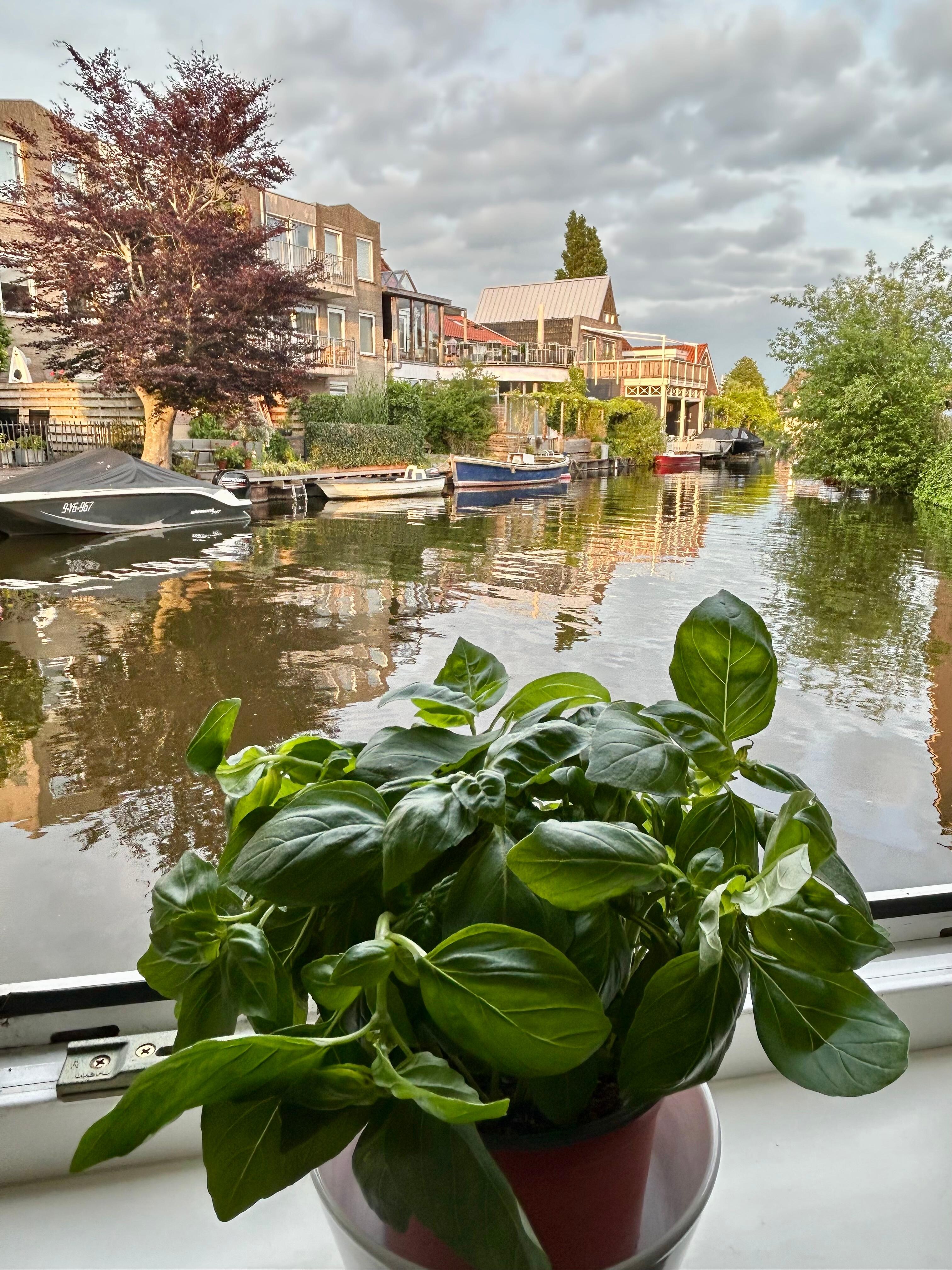 Blick aus der Küche in die Gracht.