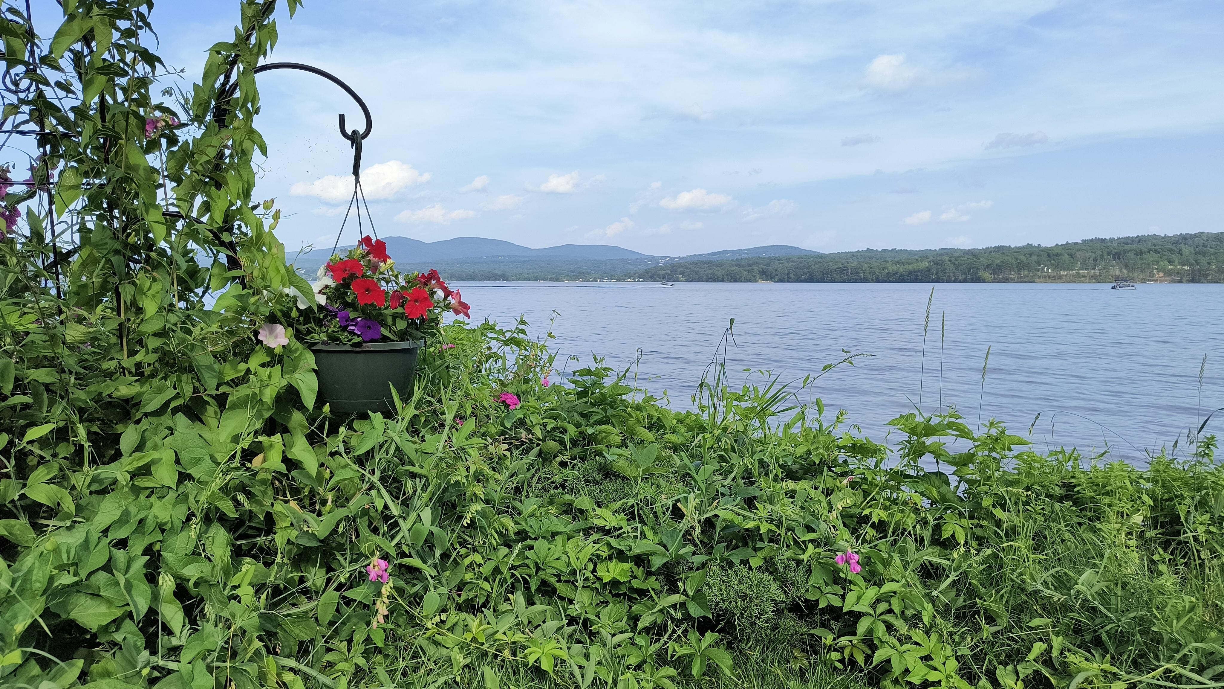 View from deck looking east