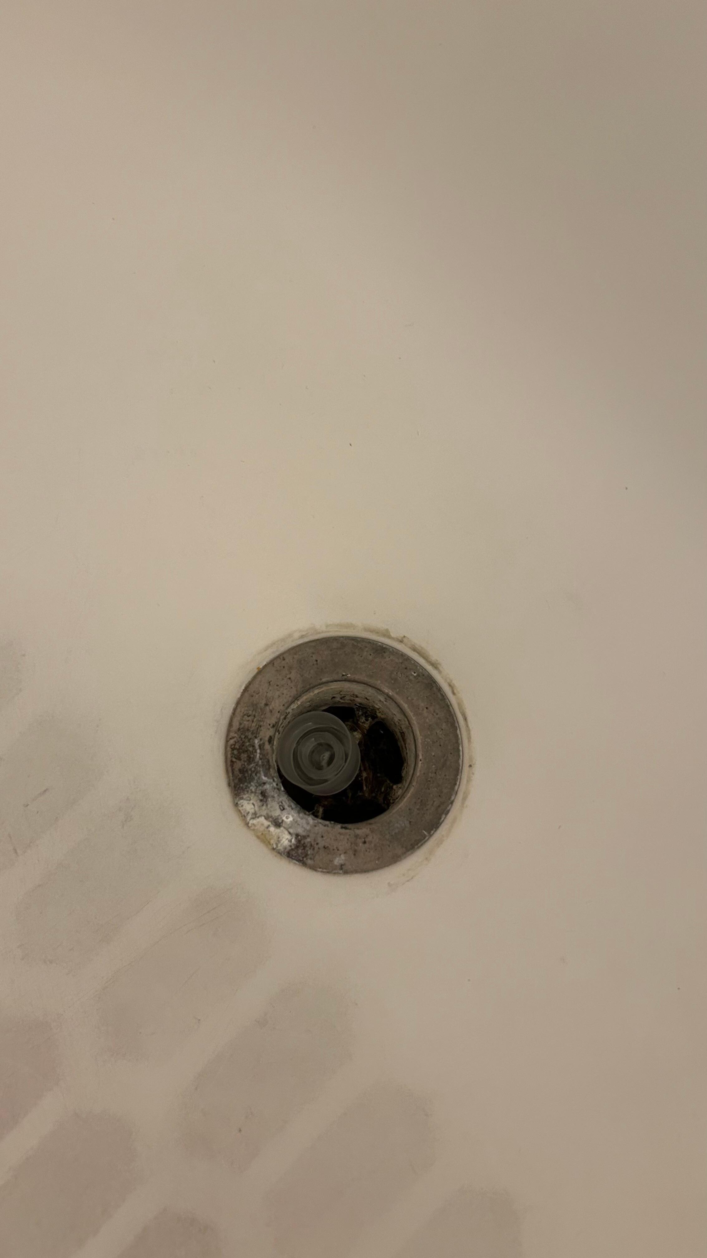 Master bathroom tub