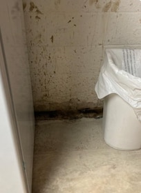 Black mold on walls and floor.
