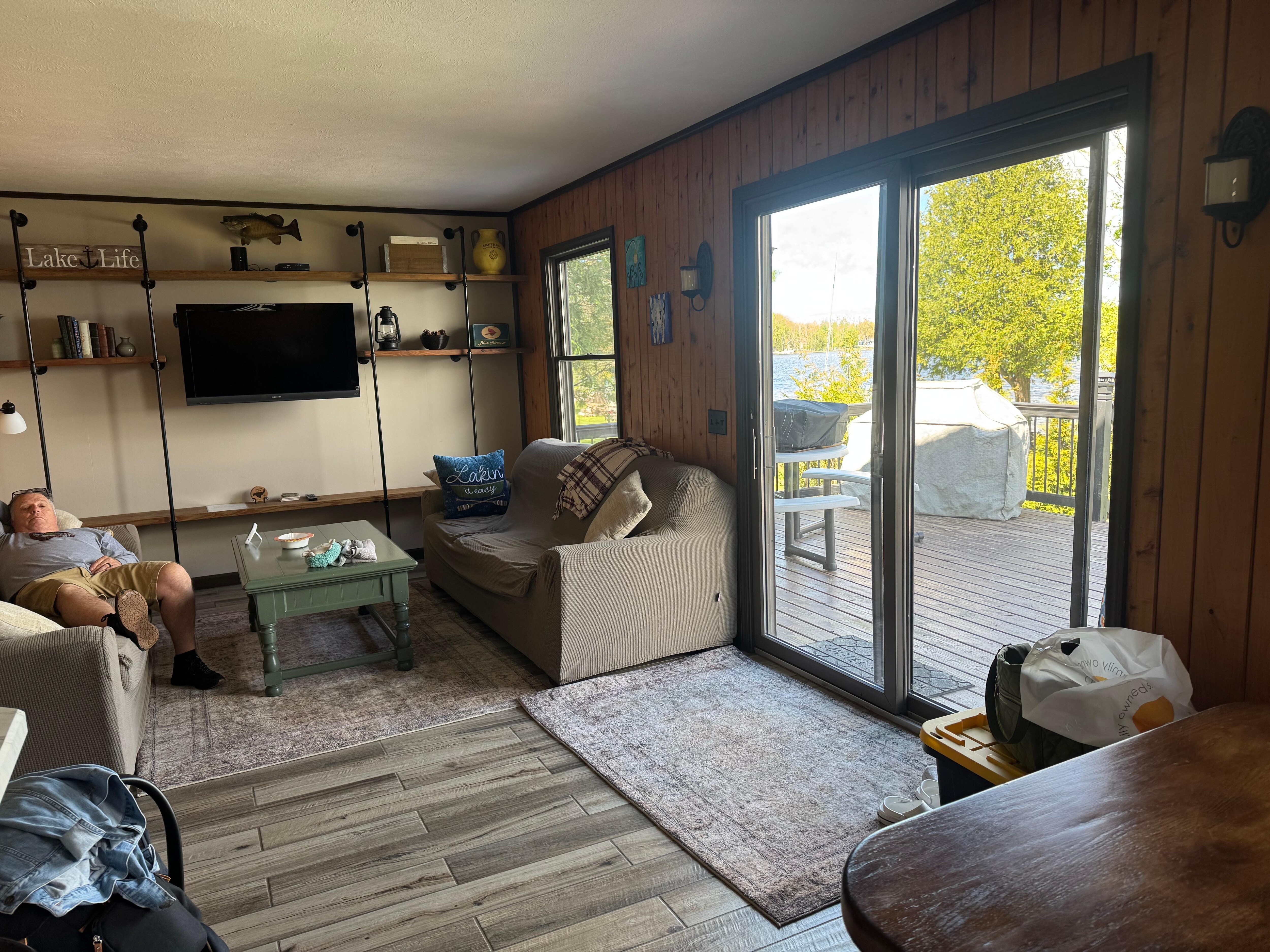 View from the doorwall. Swans with their babies 