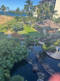View from the lanai