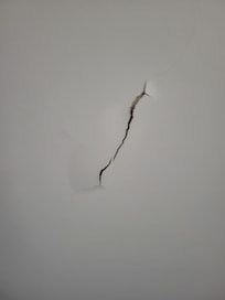 One of several ceiling leaks