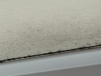 Mould above window in back bedroom