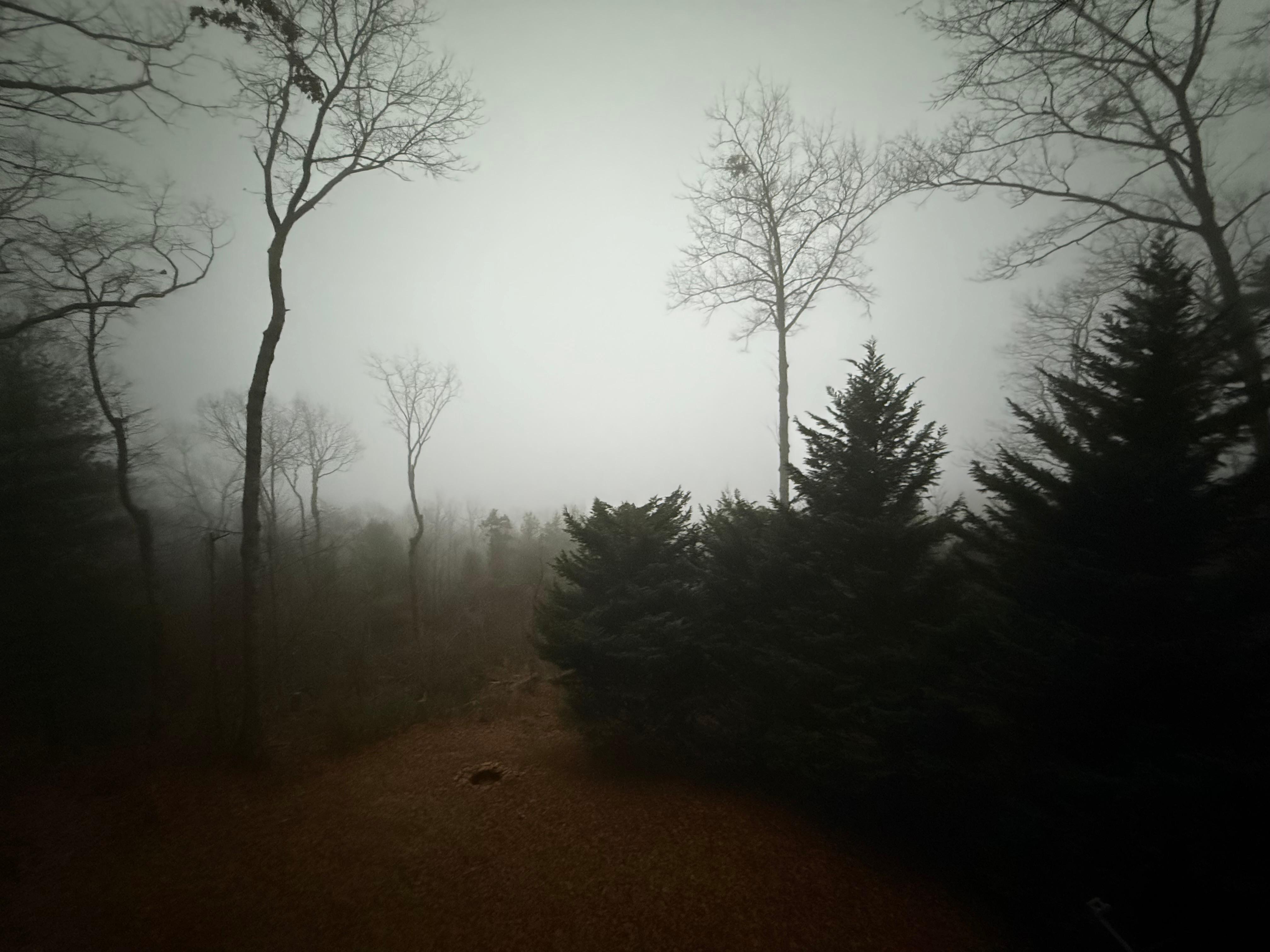 It was a foggy morning! 