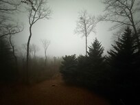 It was a foggy morning!