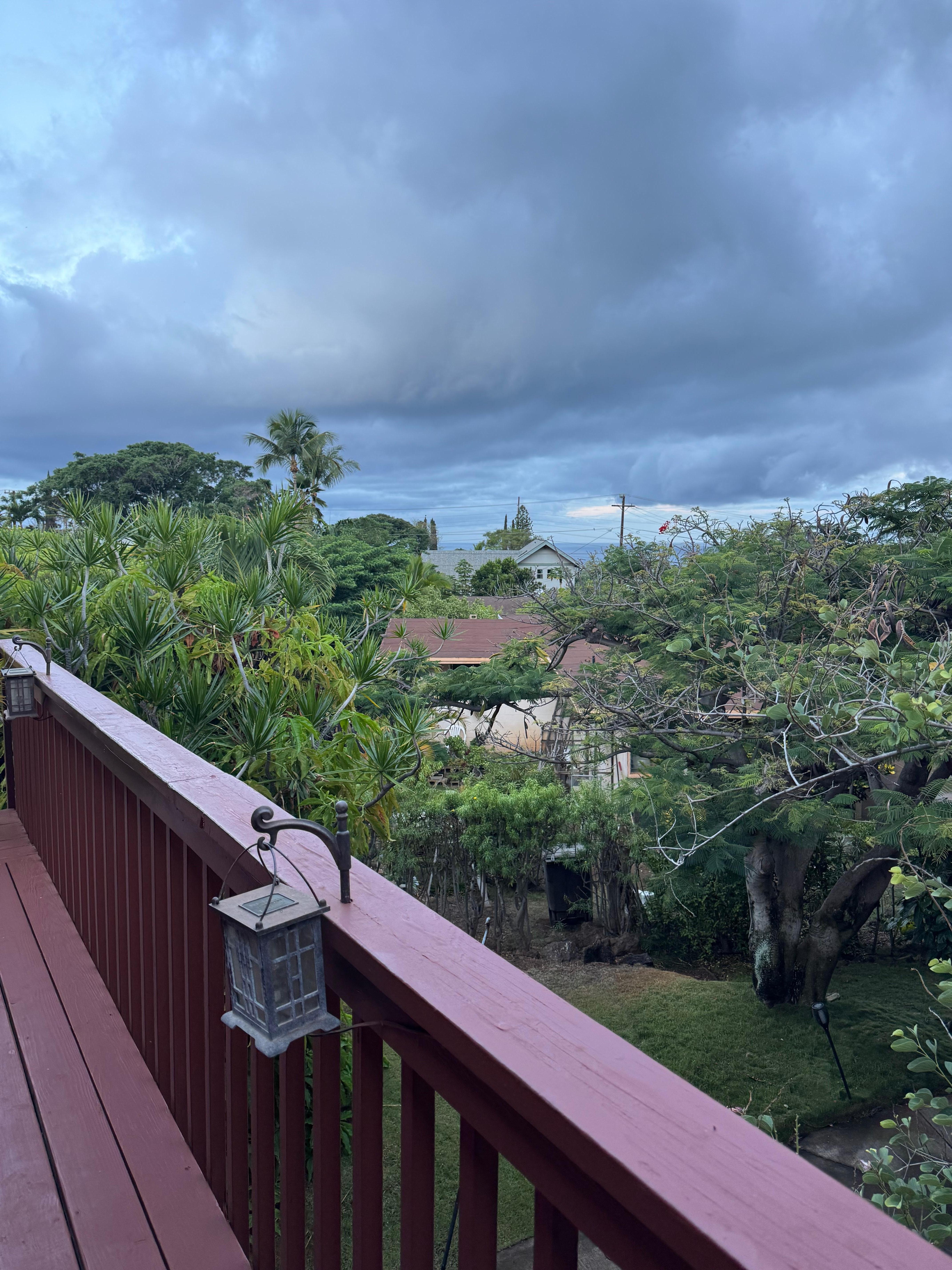 Loved the lanterns at jight