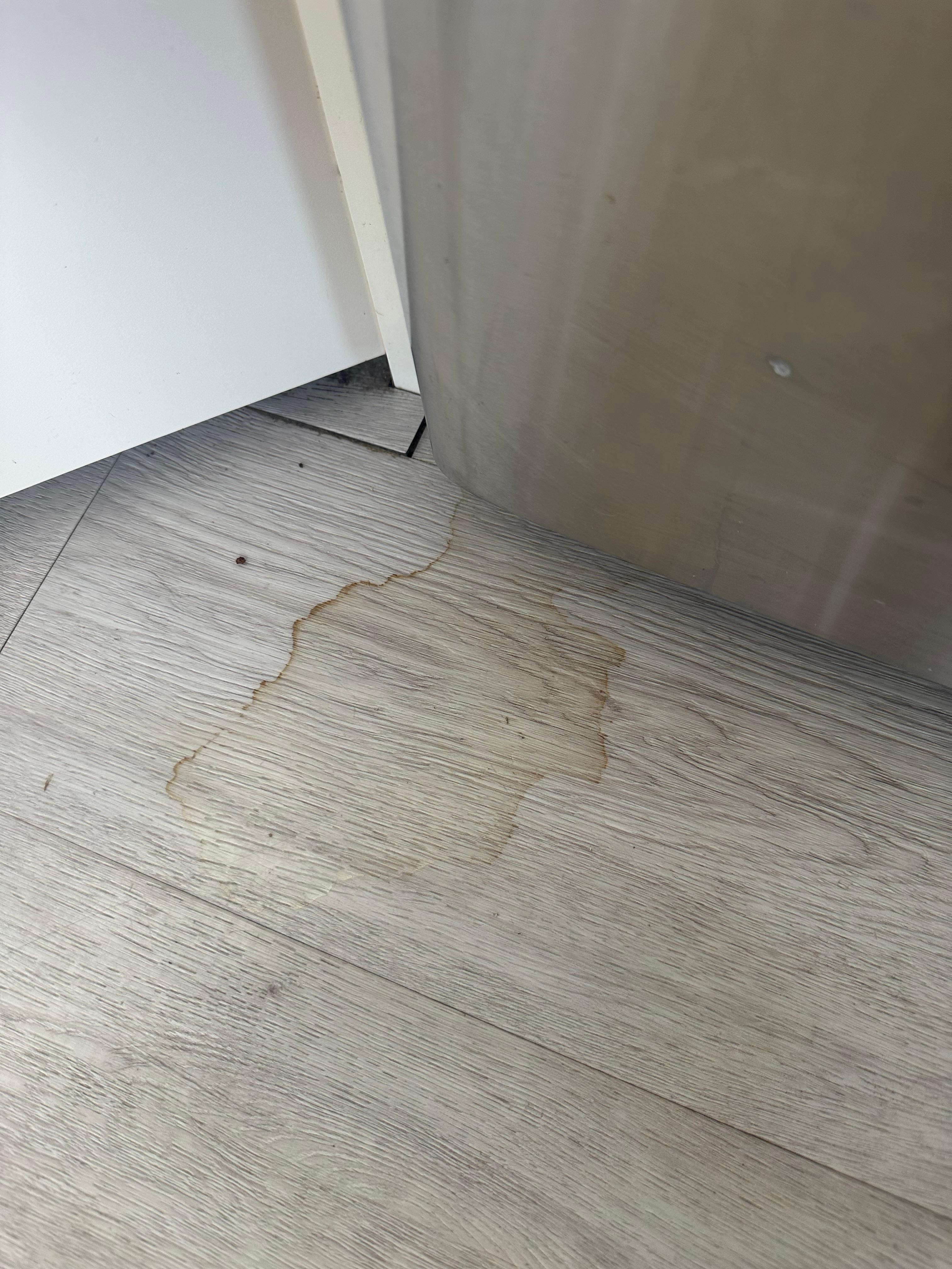 Ooze out of fridge before we cleaned