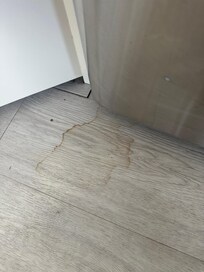 Ooze out of fridge before we cleaned