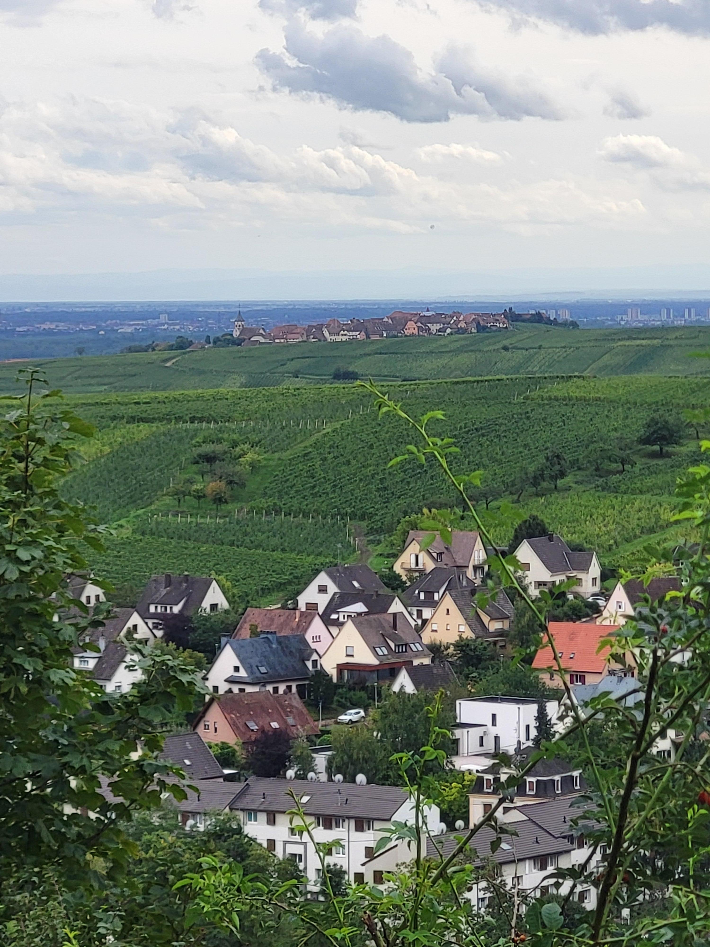 Petit village dans les vignobles 