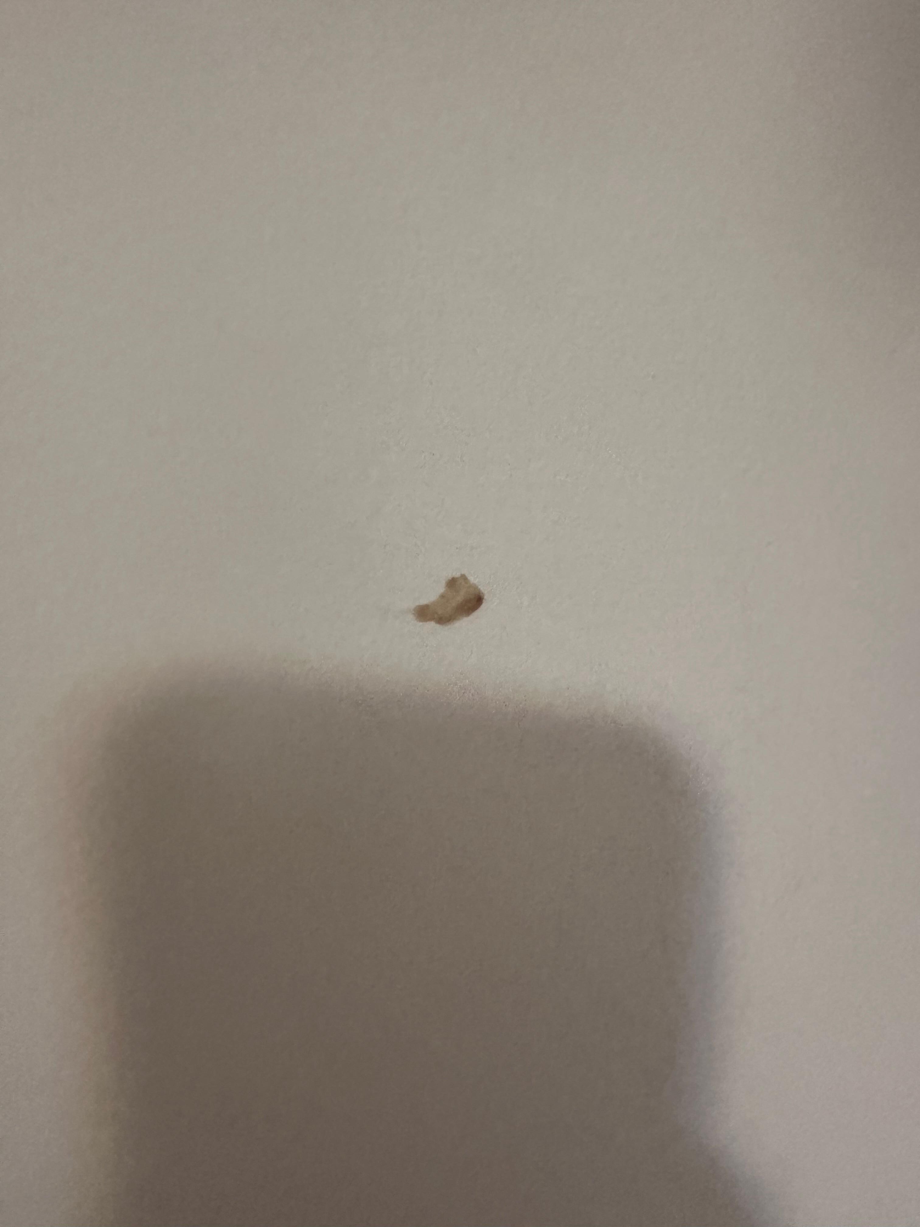 Boogers on wall