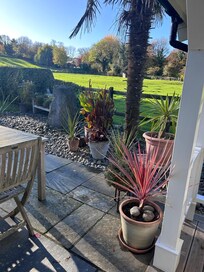 Beautiful surroundings