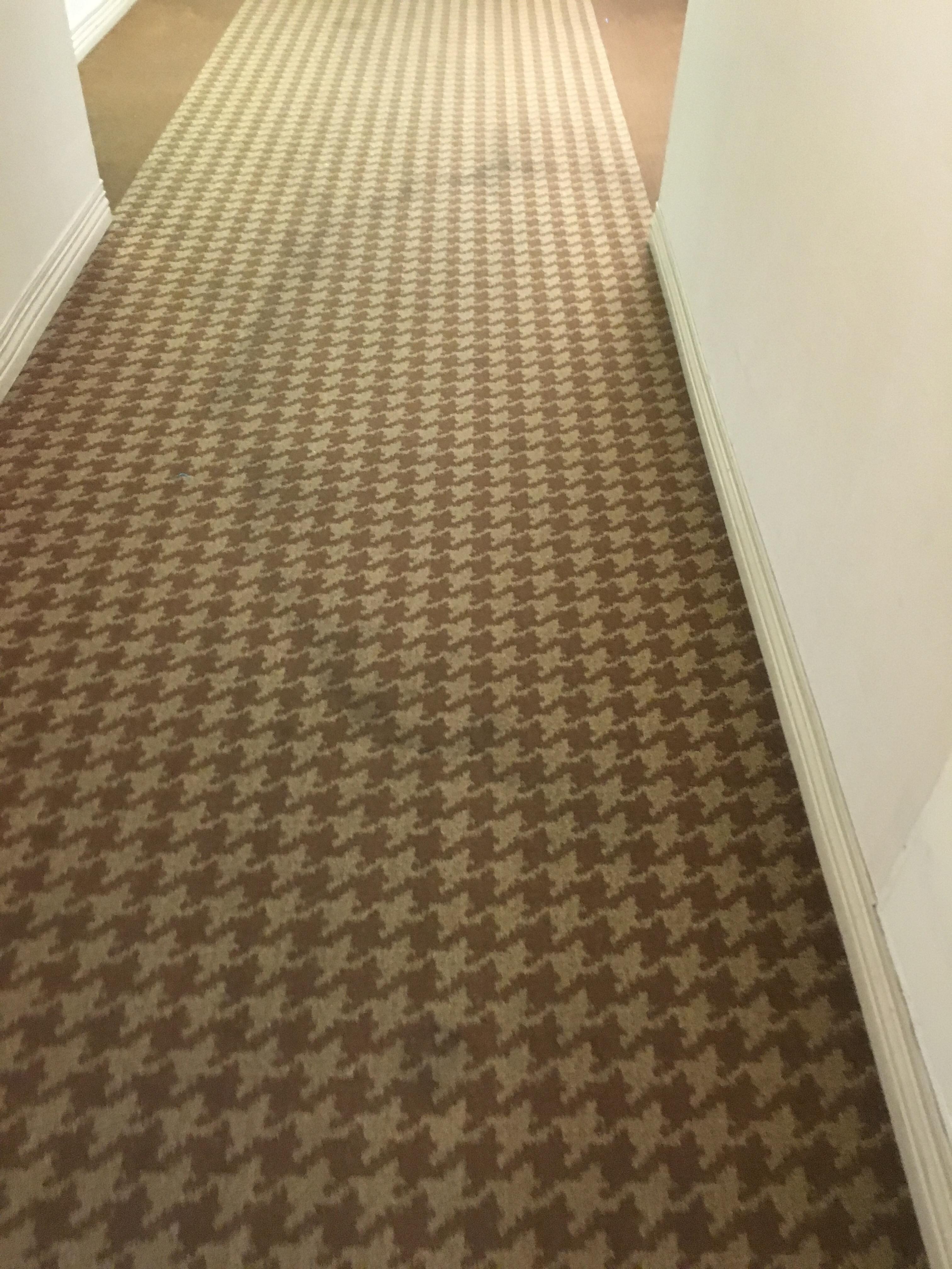 Mildew in corner of room