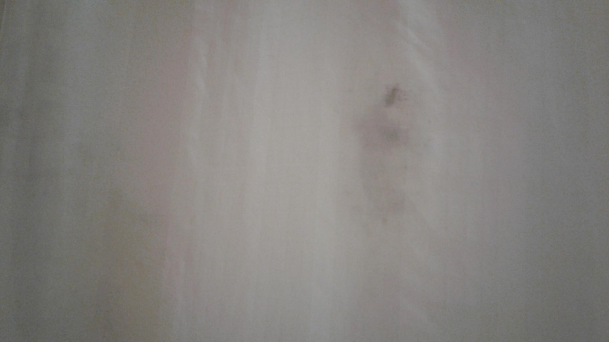 One of many shower curtain stains