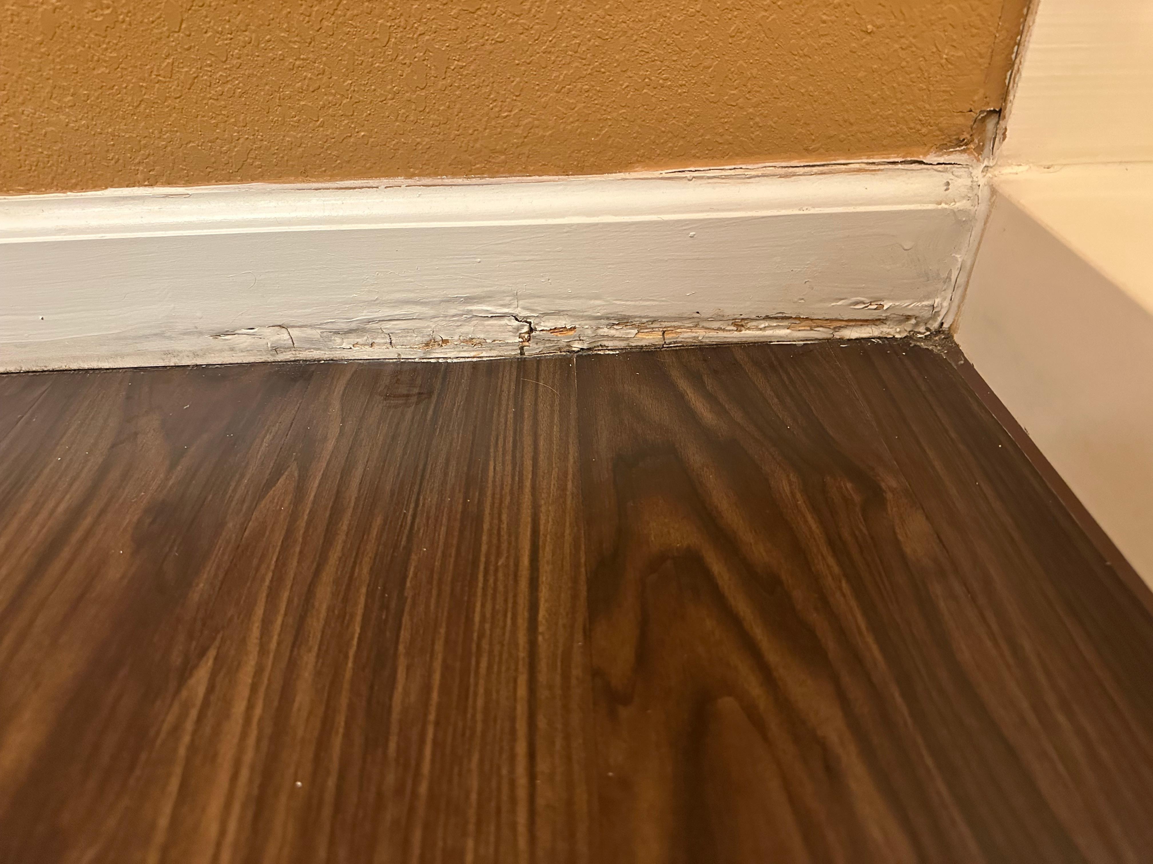 Water damage to floor as there is no curtain or glass keeping the shower water in the shower