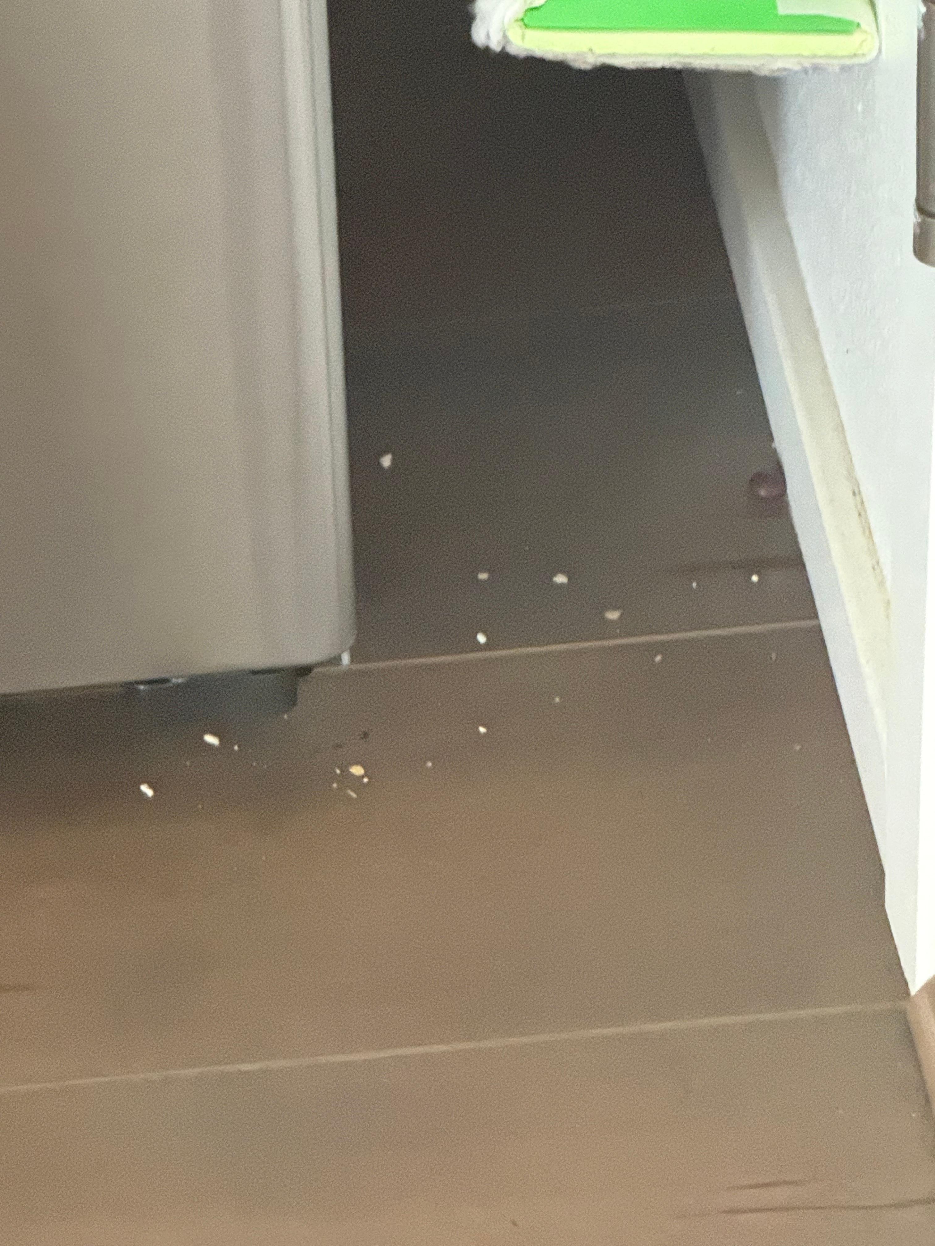 Crumbs left near corner of fridge 