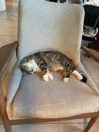 Relax at the reception