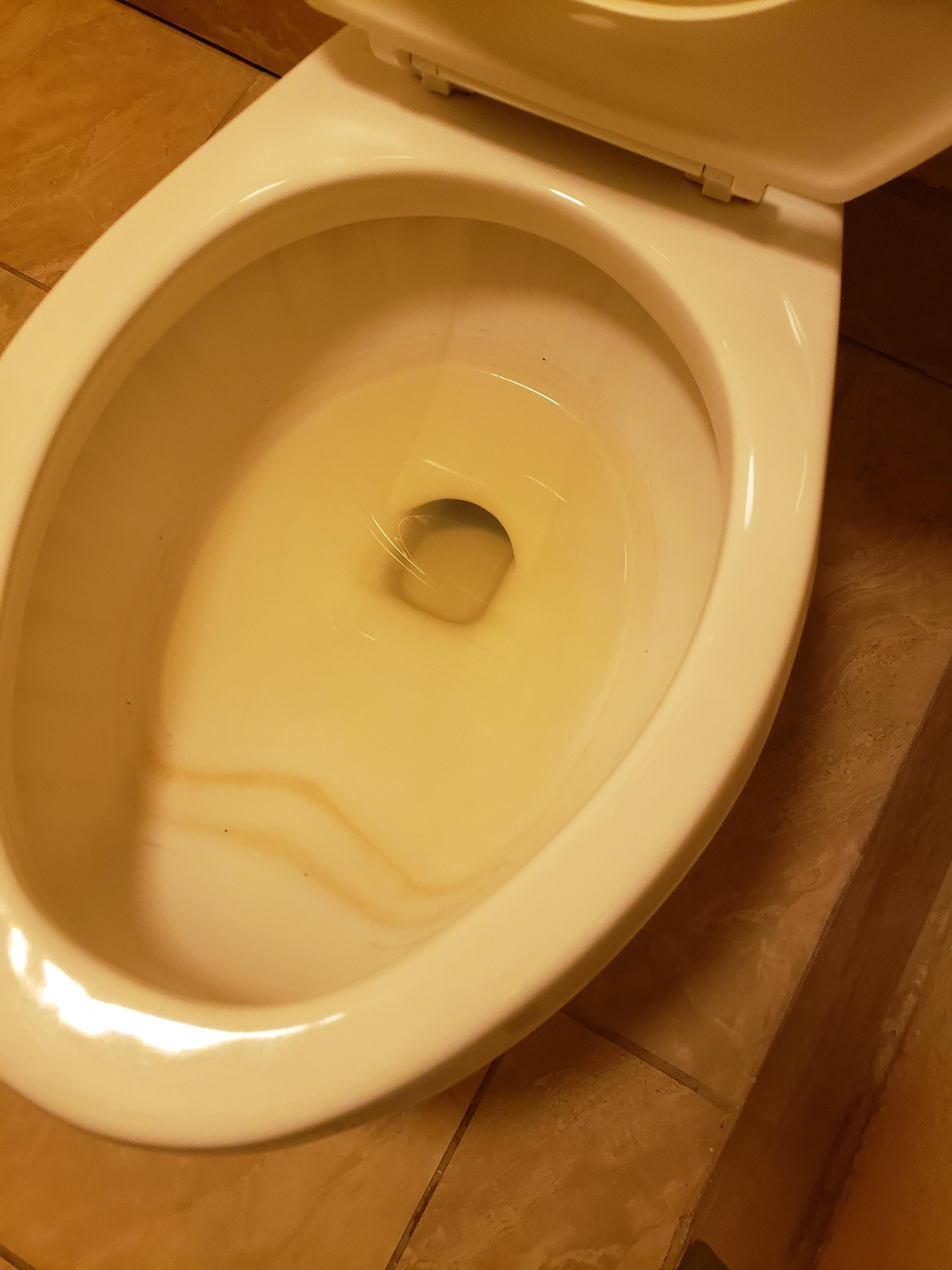 My room urine in toilet looked like it was there two months and broken seat nasty floors.