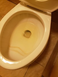 My room urine in toilet looked like it was there two months and broken seat nasty floors.