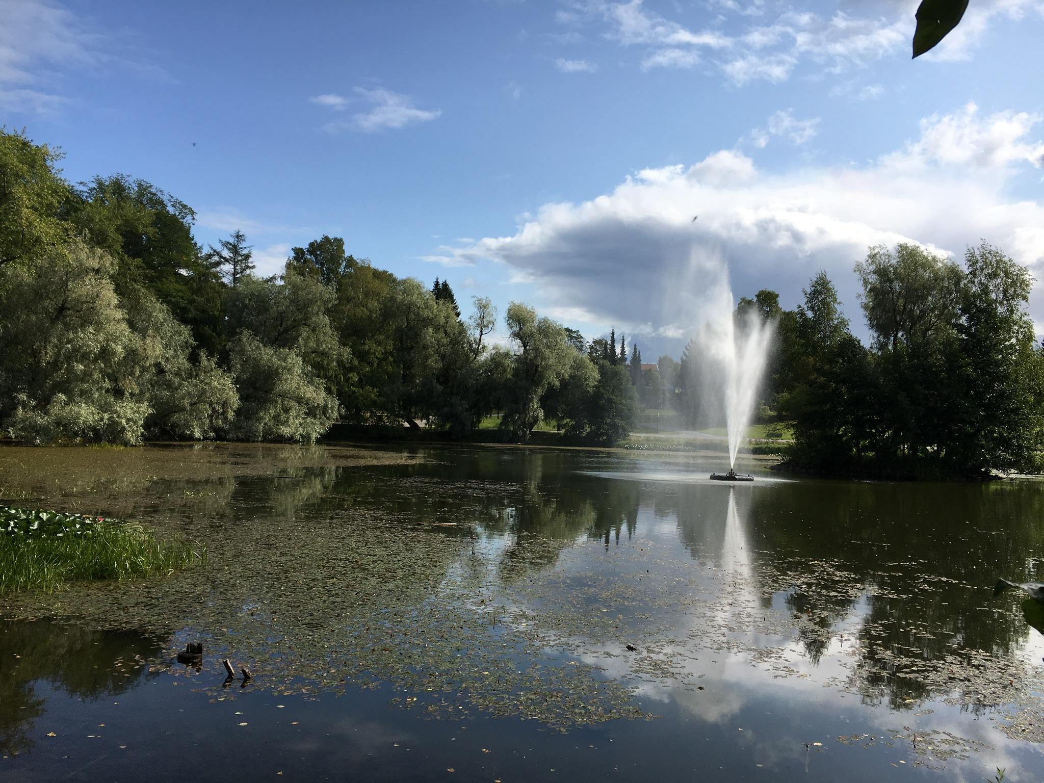 Park in Tampere 