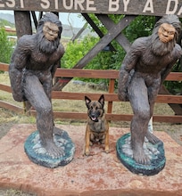 At the "Damn" Store Loveland, CO