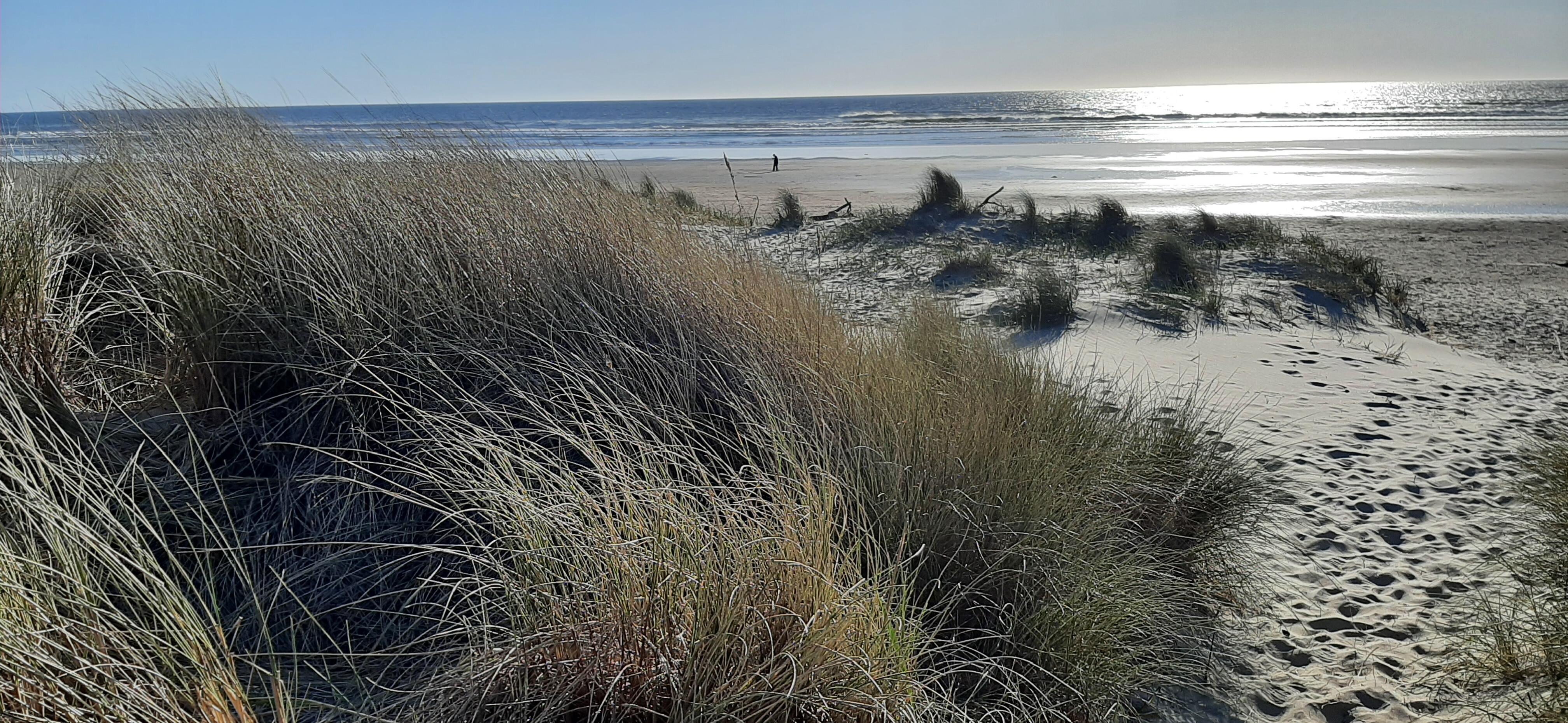 Across the quiet street from the motel.
