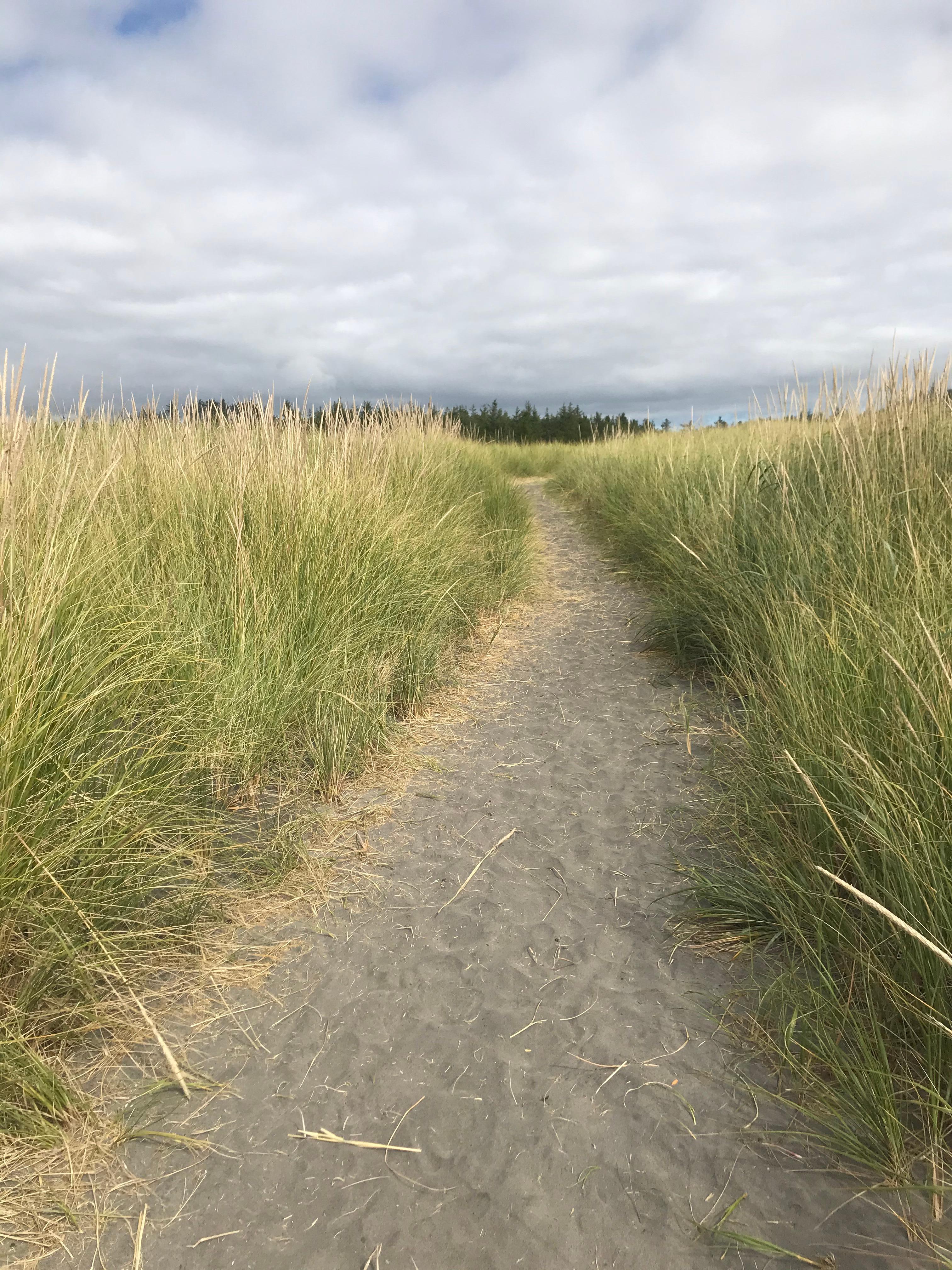 Trail to the beach