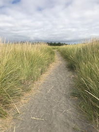 Trail to the beach