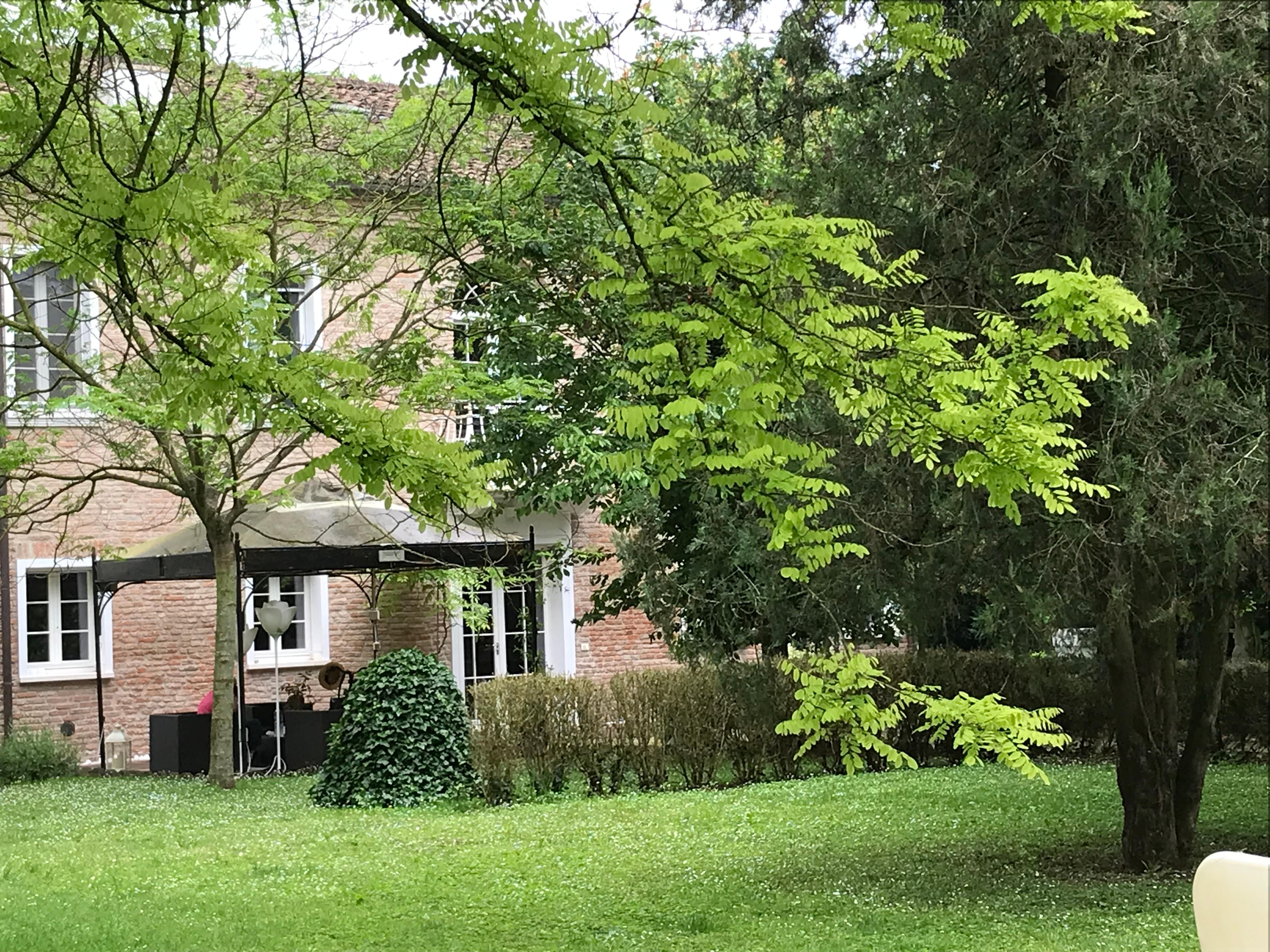 View of hotel from garden 